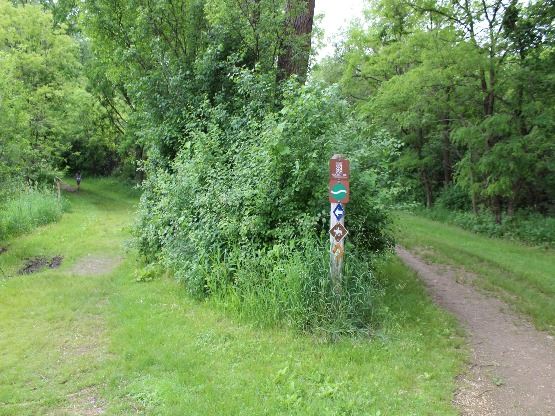 Trailhead in woods with trees